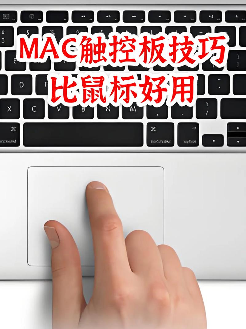 苹果笔记本电脑的触摸板怎么关闭啊?