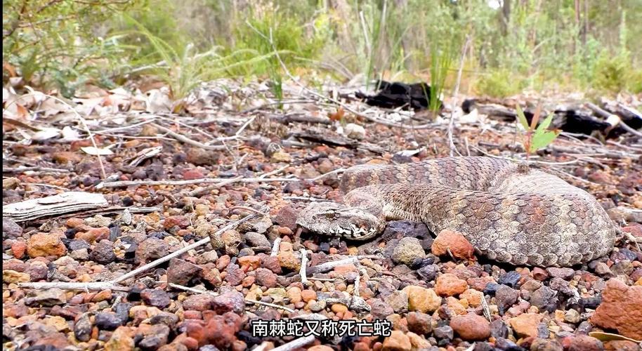 我家台式机要加内存,juhor玖合内存怎么样?