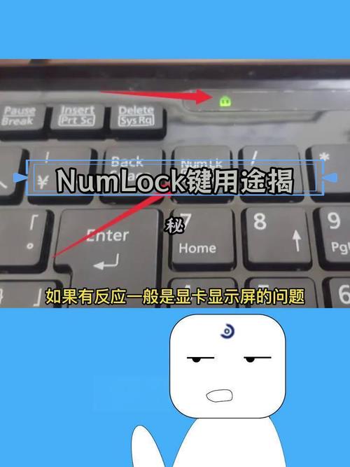 联想笔记本G480的numlk键在哪里