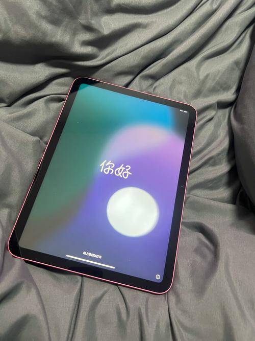 苹果7.9寸ipad是多大的