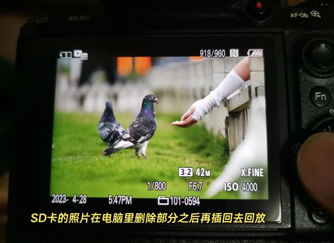 索尼S39H插上SD卡后,数据全没有了