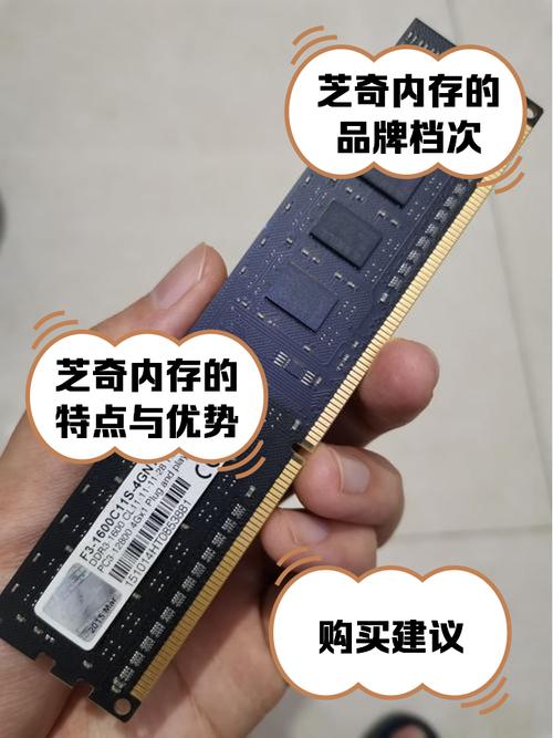 海盗船内存怎样辨别真伪?