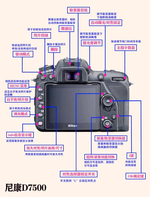 尼康D7500单反相机怎么样?优缺点测评
