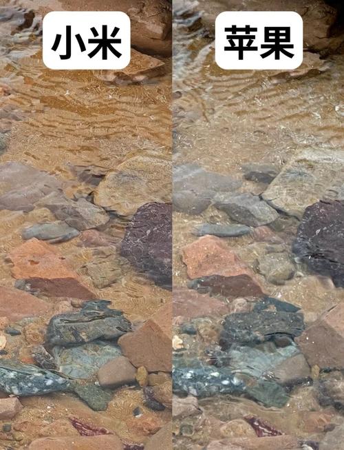 小米5s和iPhone7拍照对比谁的效果好