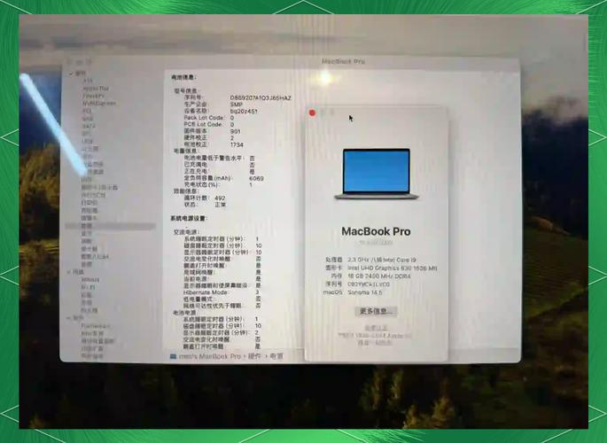 mac可以装windows吗