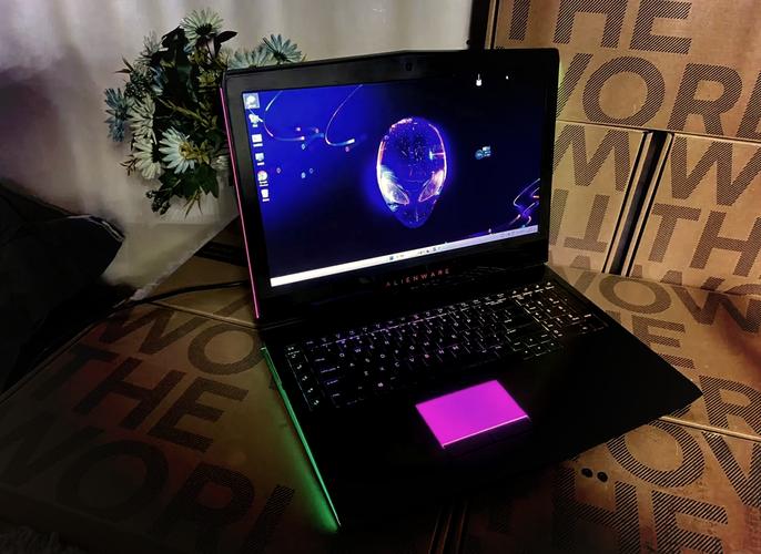 alienware外星人笔记本电脑黑屏外星人电脑开机灯会亮但是一直黑屏打不开...