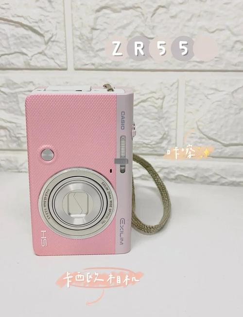 (200分)买数码相机大家帮我建议一下!