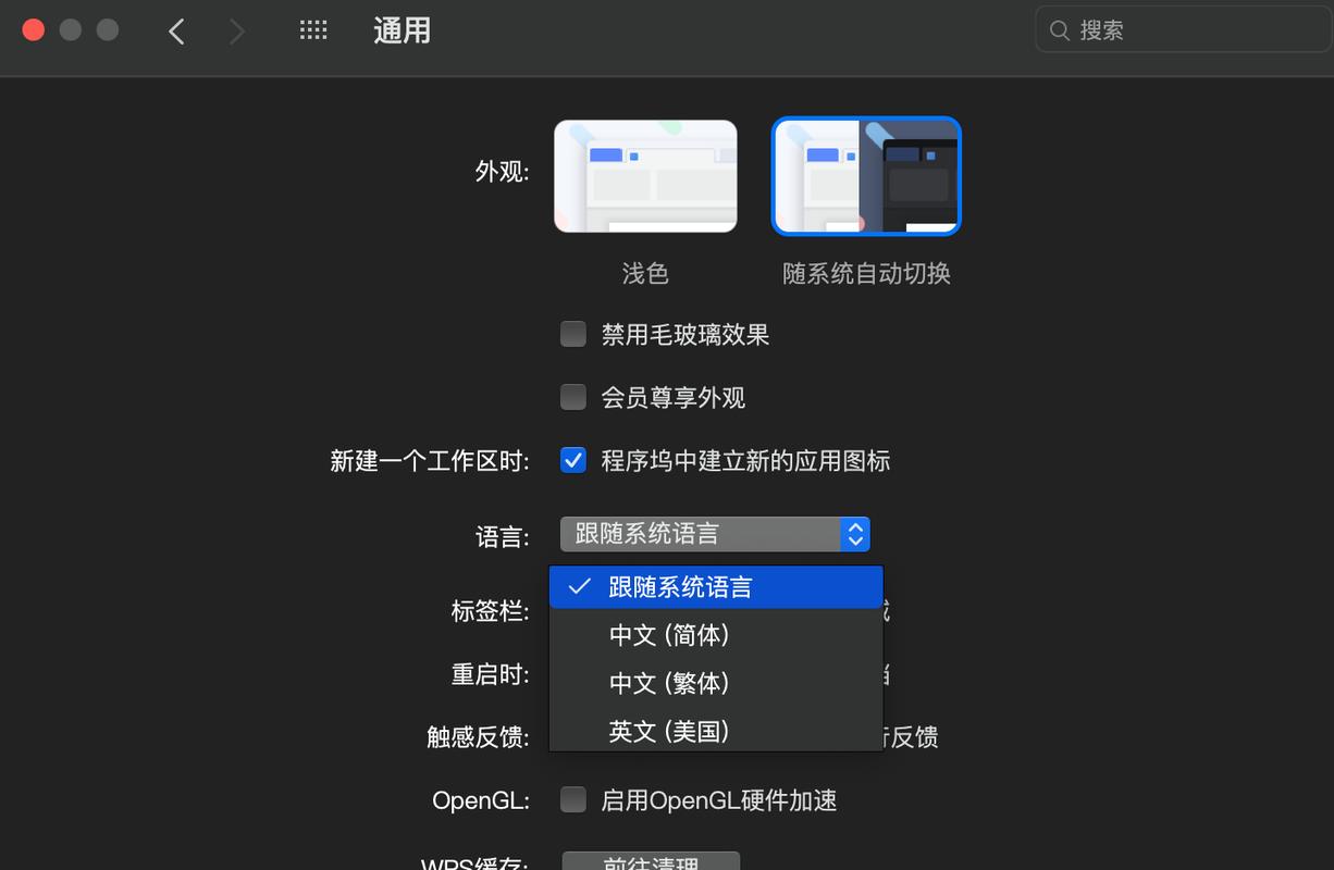 电脑里的软件都是英文了,该怎么调置成中文