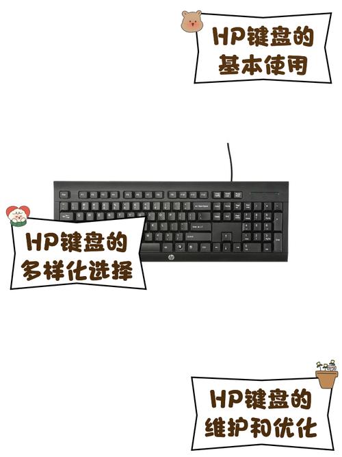 hp电脑重装系统按哪个键