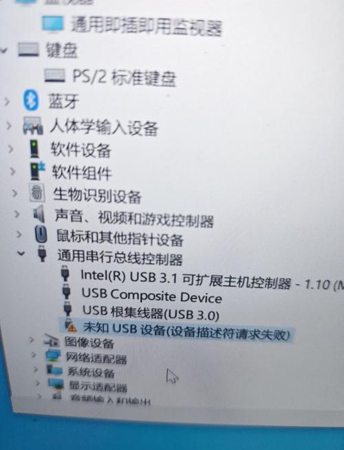 如何在电脑中播放DVD光盘?