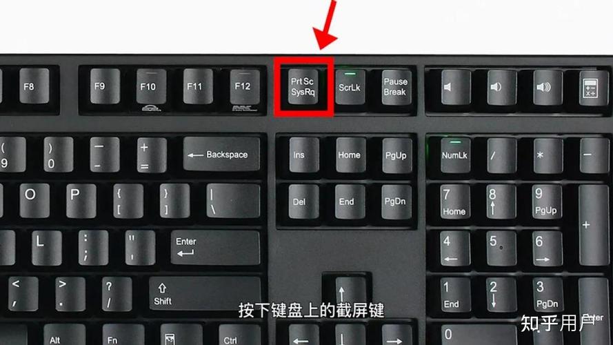 电脑截屏怎么往下拖着截屏?4种方法轻松搞定长页面截图