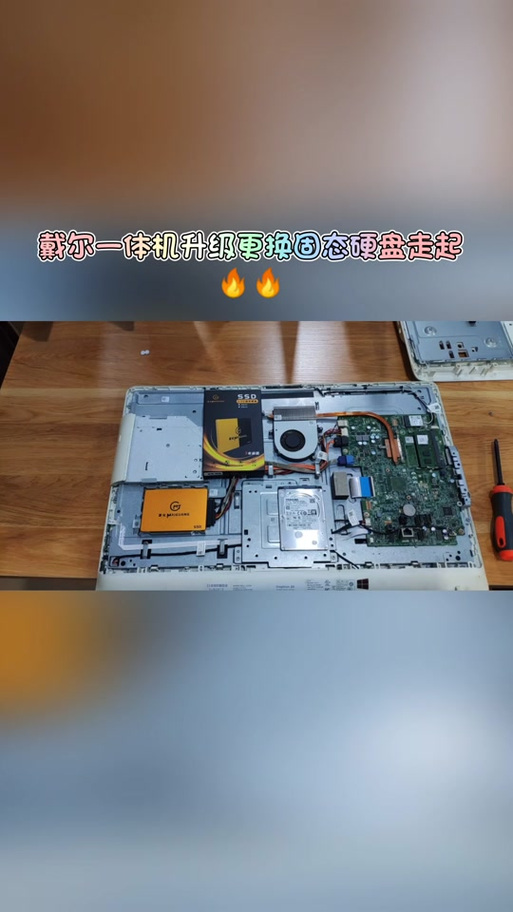 戴尔一体机怎么拆后盖视频(戴尔一体机怎么拆后盖)