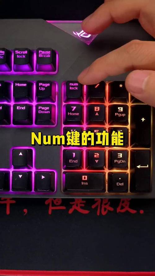 笔记本键盘的NUM在哪里?