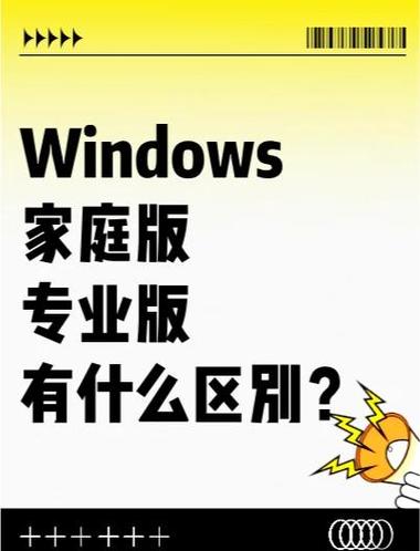 win10系统装家庭版玩游戏好一点还是装专业版玩游戏好一点