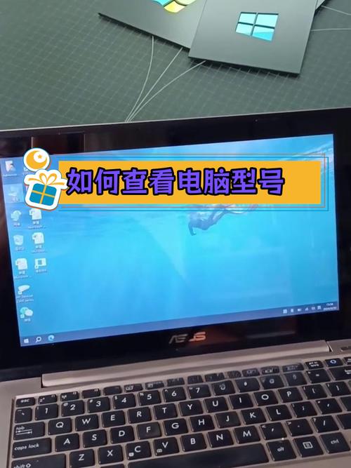 电脑型号怎么查