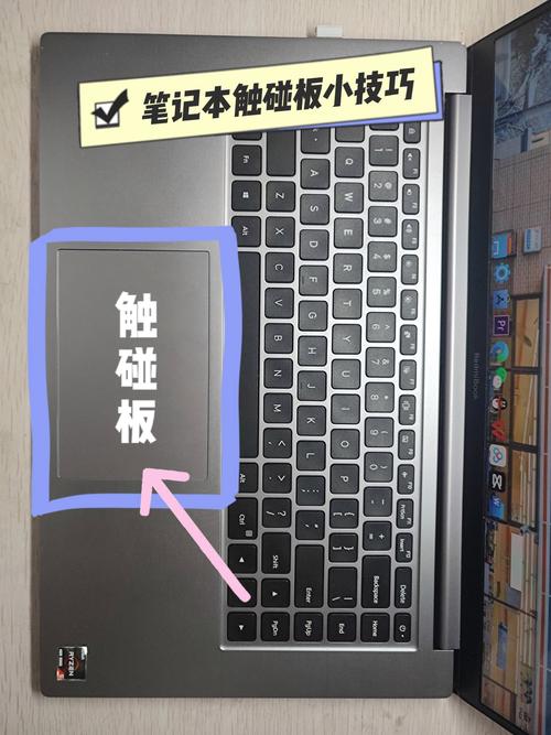 惠普笔记本触摸板怎么关闭和开启