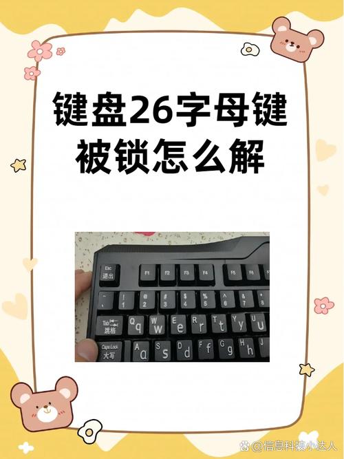 键盘锁住了fn和什么键