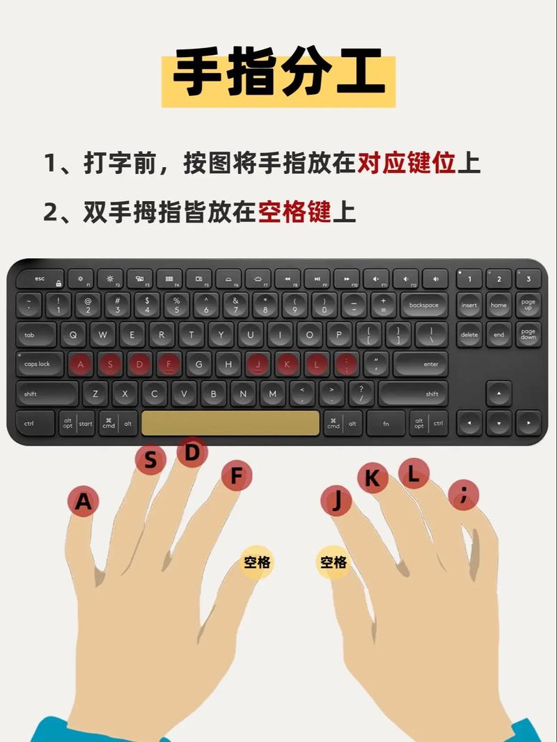 轻松学电脑打字成为新手从零开始