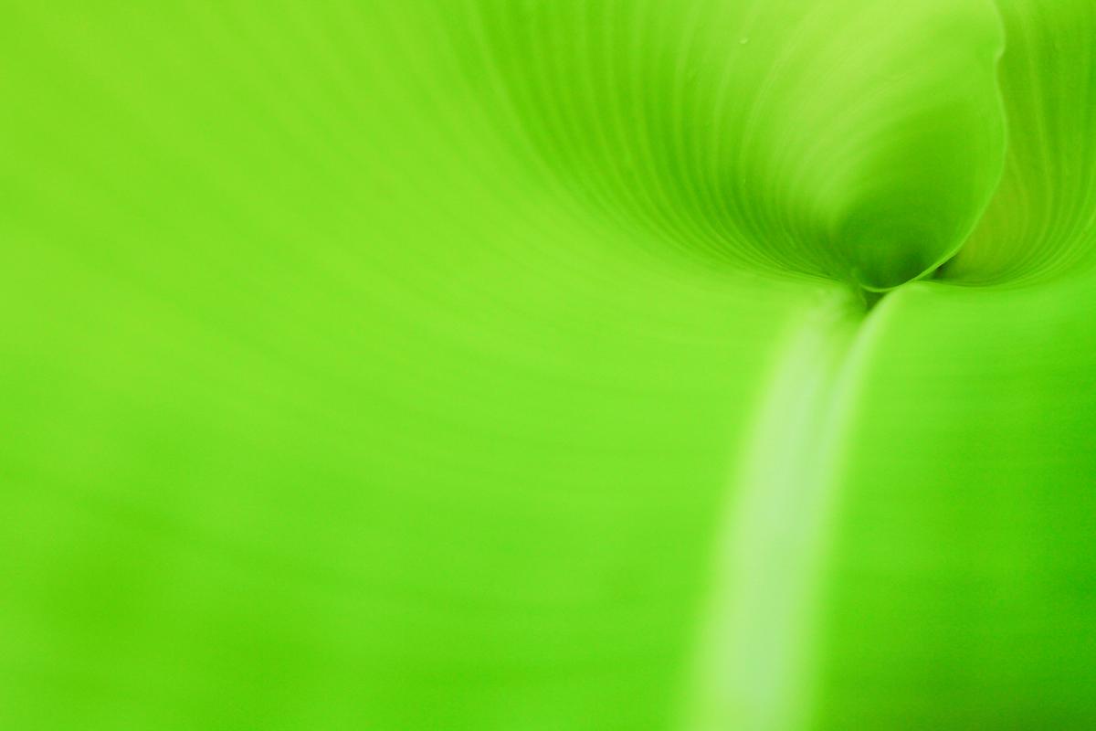 电脑显示屏的颜色如何调节?