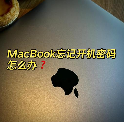 台式苹果电脑忘记开机密码