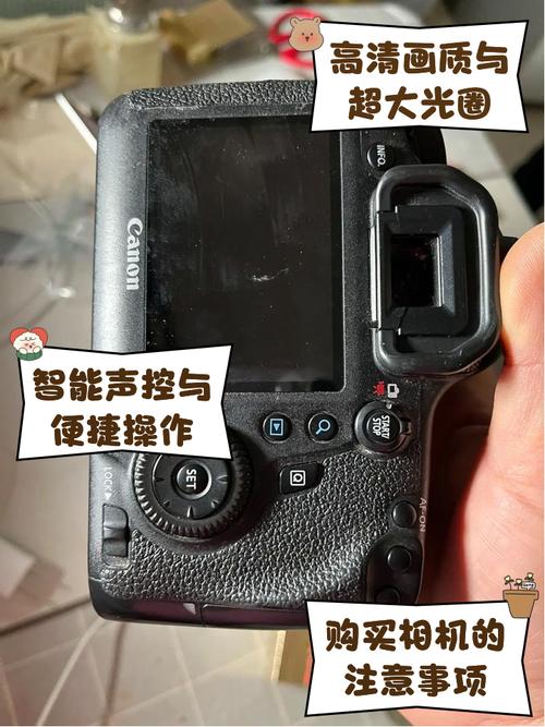 佳能6d2如何实时显示拍摄?