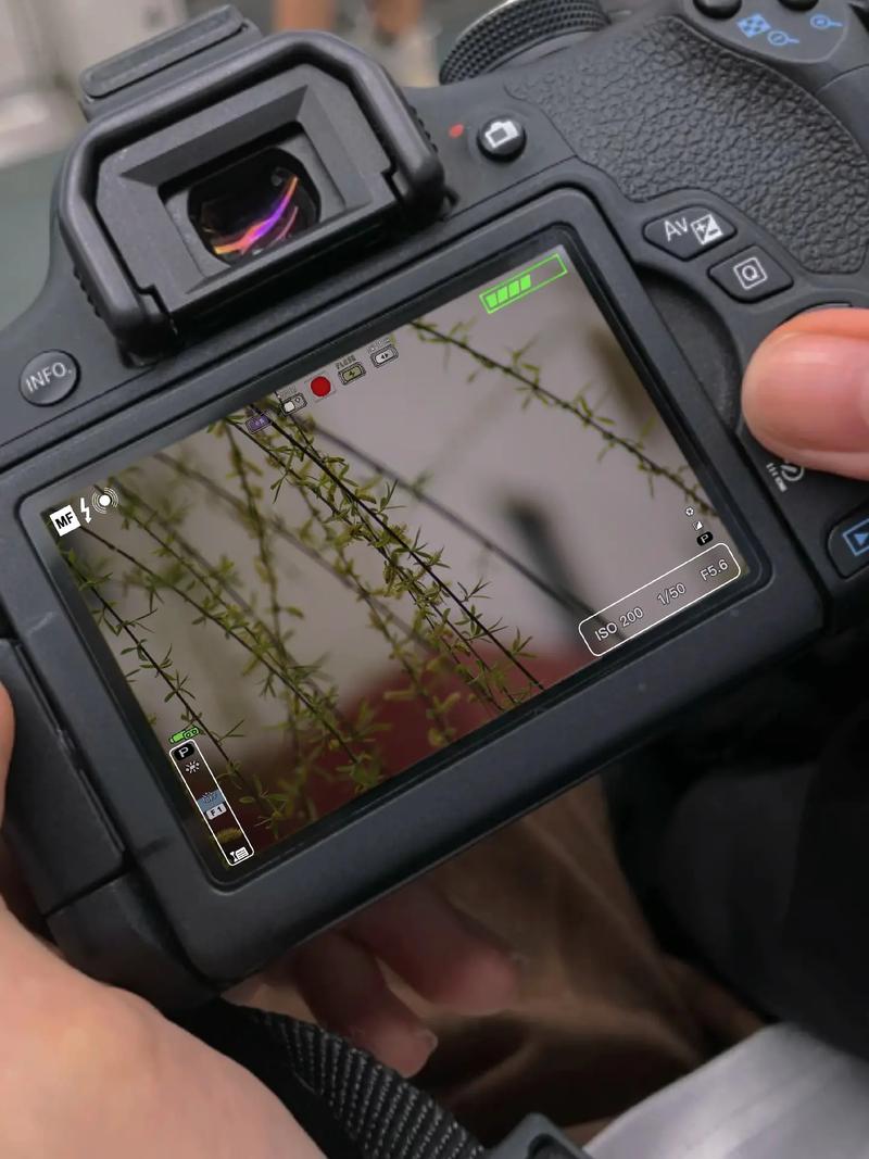 索尼a200的快门数量如何检查?