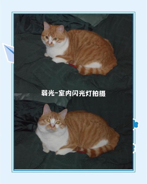 三星es75使用最大内存卡是多大