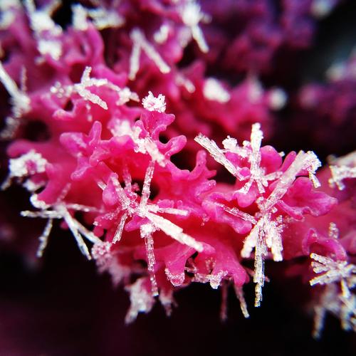 联想k800值得买吗联想k800怎么样