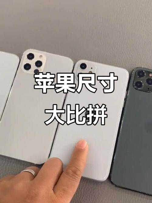 iphone11和12尺寸一样吗