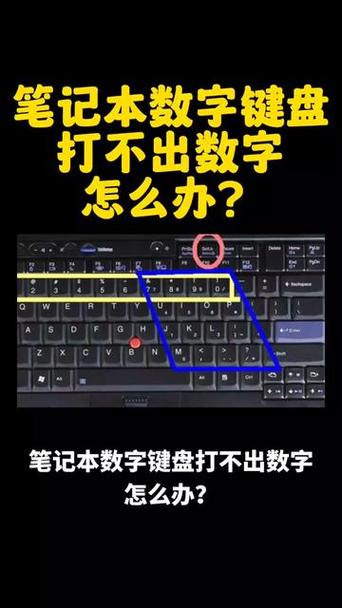 联想笔记本电脑键盘数字键打不出来怎么解锁?