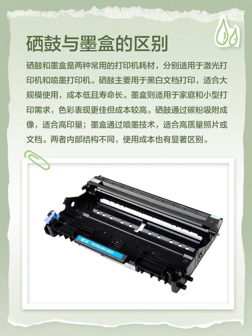 打印机硒鼓在哪里