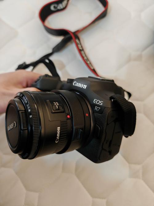 热销的4款佳能单反,哪款最值得入手?