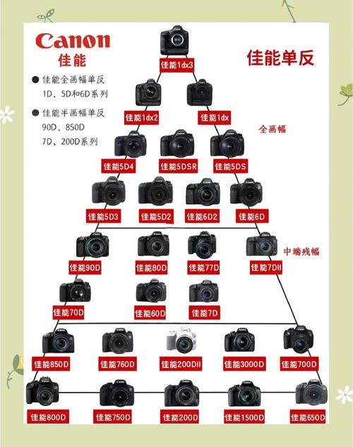 买单反选佳能还是尼康?是全画幅还是半幅?