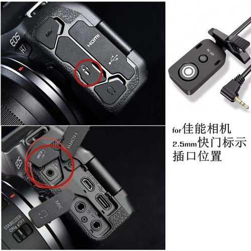 佳能5D2和R10镜头通用吗?