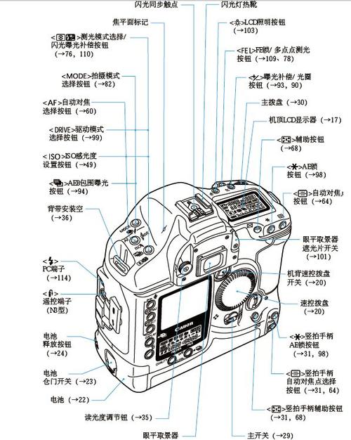 佳能什么时候开始出单反?