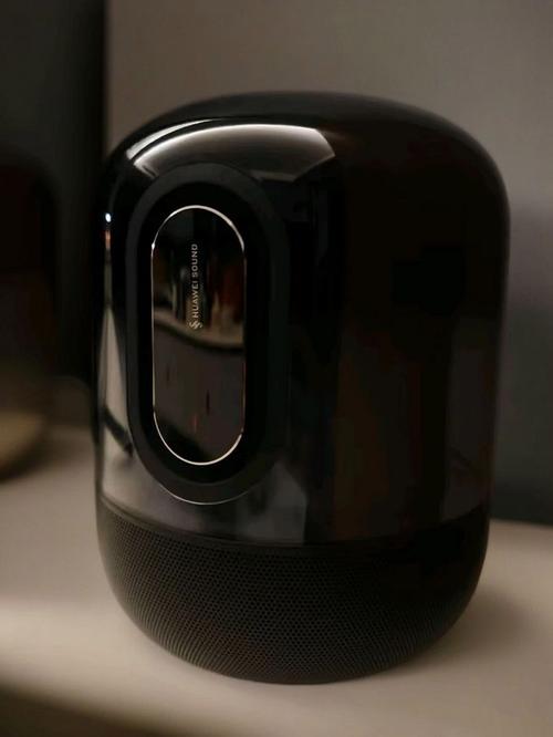 华为蓝牙音箱哪款音质好