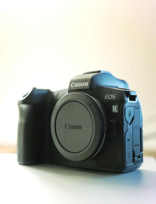 佳能5d4和r6,佳能5d4好还是r6好