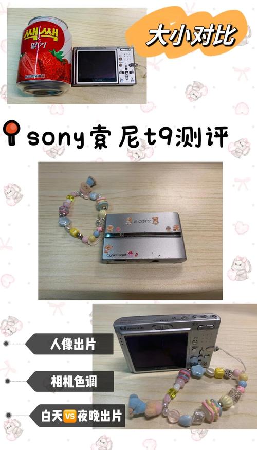 索尼T99C索尼T99C-相机简介