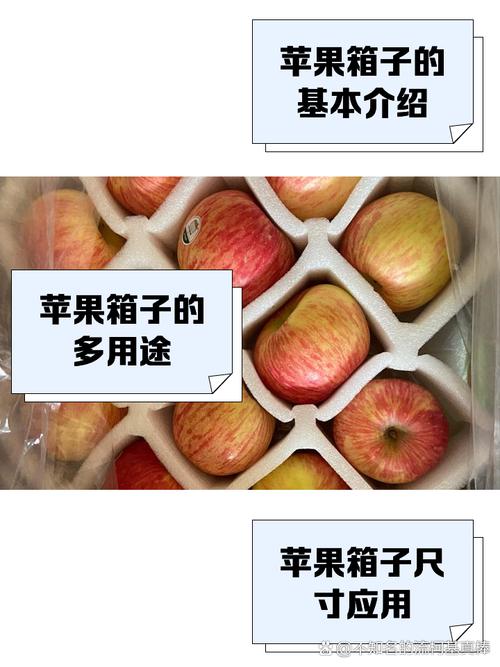 中国前十品牌拉杆箱排名榜有哪些?