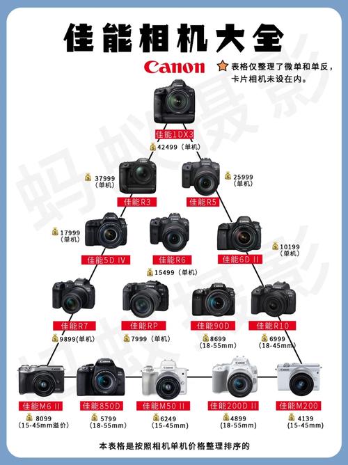 佳能哪年发布单反的