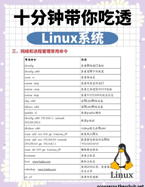 Linux是什么系统?Linux系统有什么作用?
