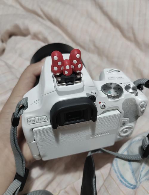 请问尼康D3200想配个长焦镜头什么型号合适