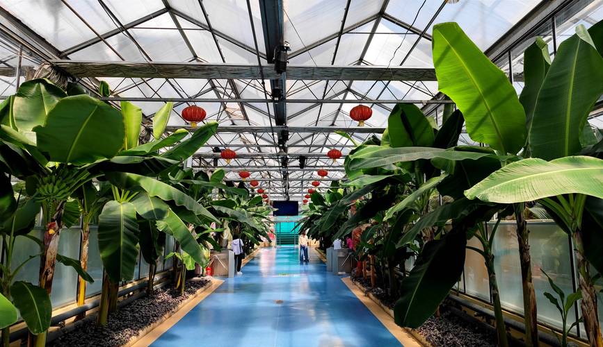 长治市有哪些著名的农业观光项目?