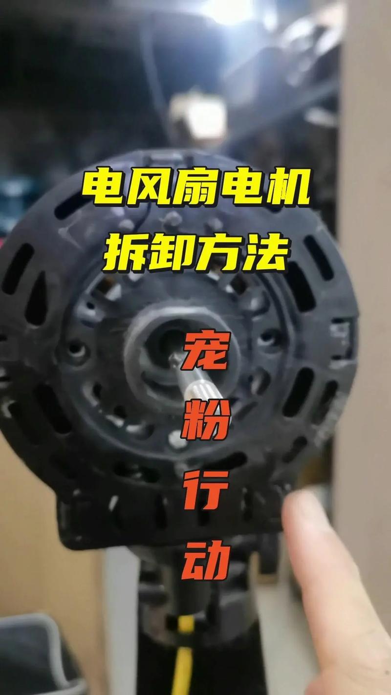 台式电风扇,各位各位我问一下像这种电风扇能全拆下来吗(图