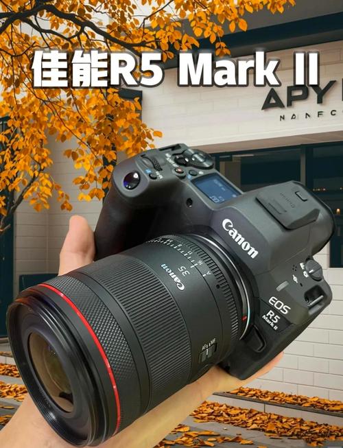 我想买个相机,不知买那个。现在主要是看的佳能的,看中的有两款。一款...