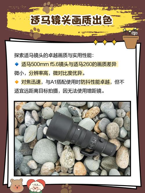 适马500f5.6镜头评测