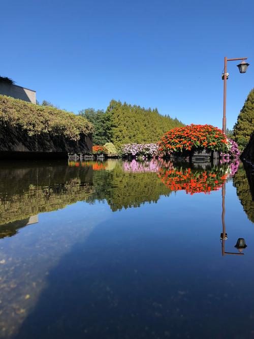 卡片机相机排名榜