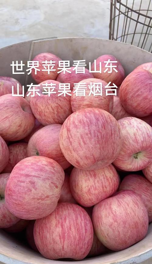 红富士苹果是产自中国的品种吗