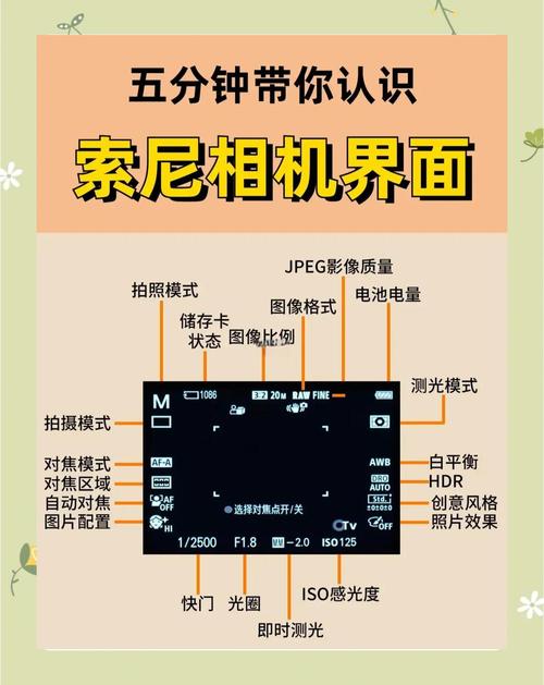 索尼相机怎么看照片