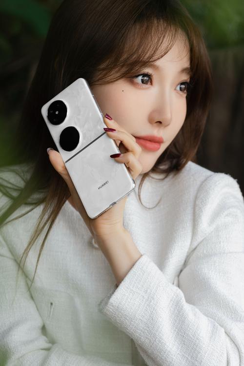 手机换个后盖多少钱?